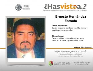 5-Ernesto-Hernandez-Estrada-BUENO-FOTO-GRANDE-300x229.jpg