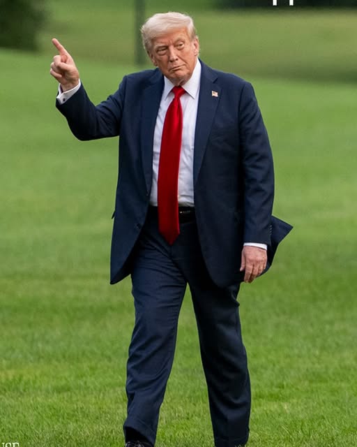 615279035_1351467790359075_3283181084566892639_n