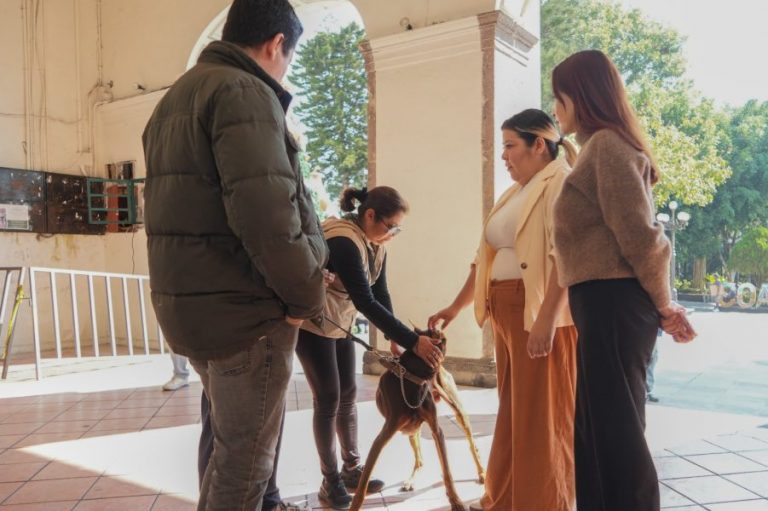 615553588_1390541639437112_2897514244364262015_n