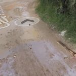 Screenshot_20260131_111745_Chrome