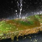 134747MANANTIALES-99