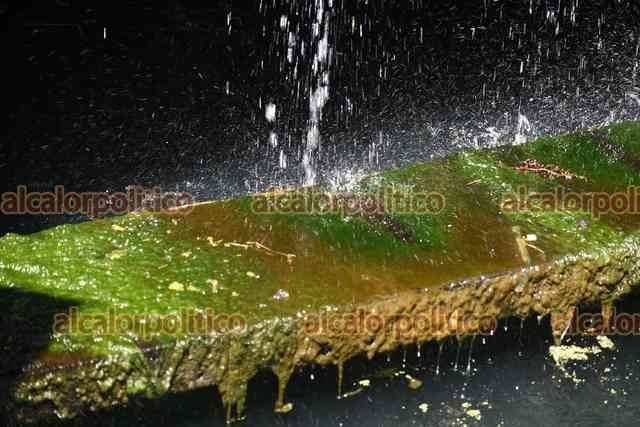 134747MANANTIALES-99