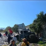 1407102xeu20260213155215