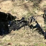 1407440xeu20260216200935