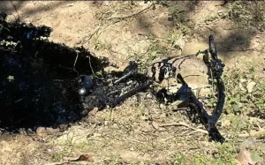 1407440xeu20260216200935