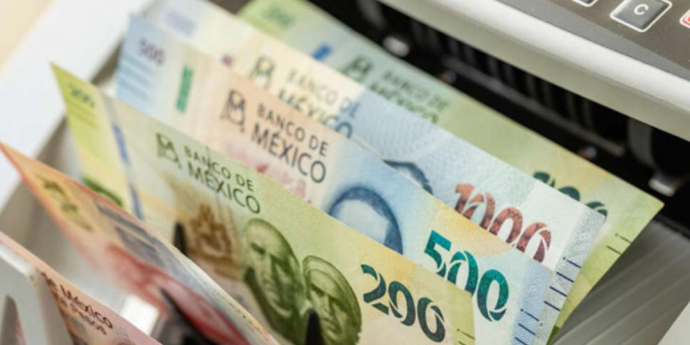 Captura-de-pantalla-2026-02-19-195643-1068x535