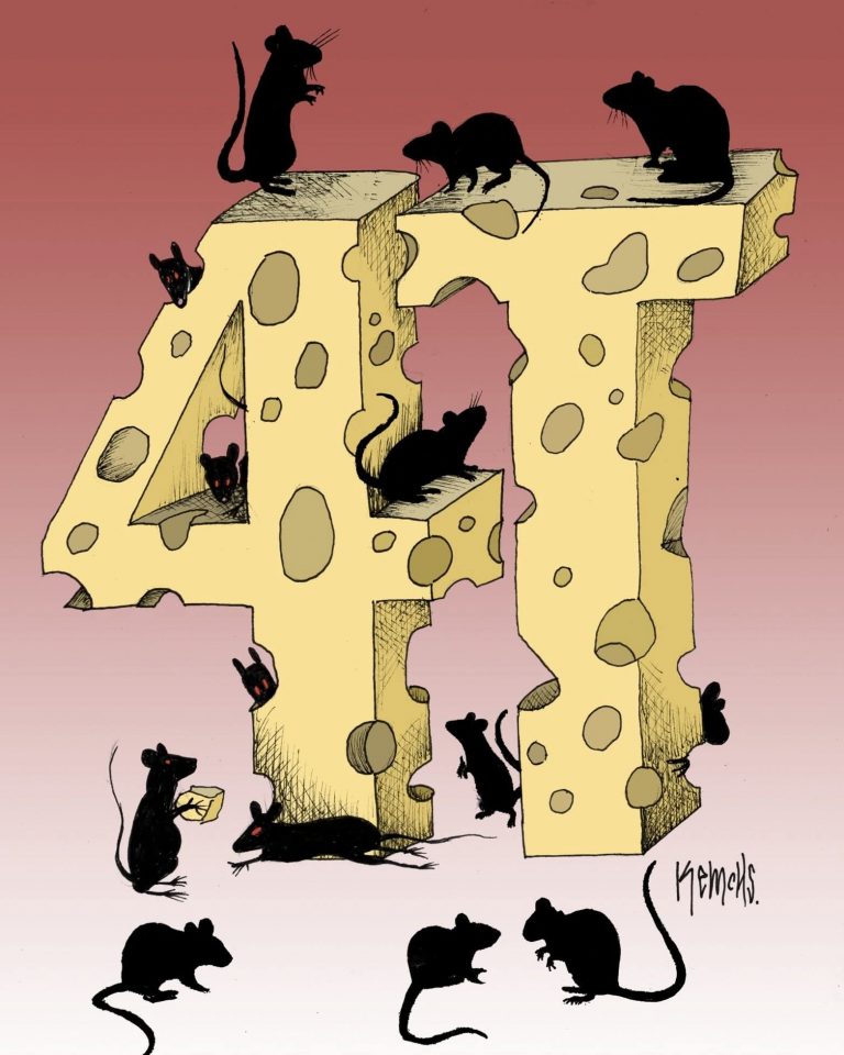 FB_IMG_1771445084930