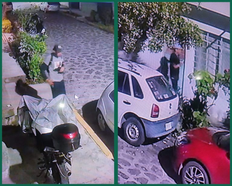 GridArt_20260220_141301885-1392x1113