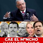 IMG-20260223-WA0015(1)