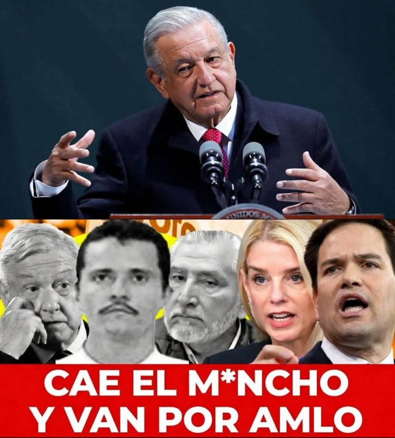 IMG-20260223-WA0015(1)