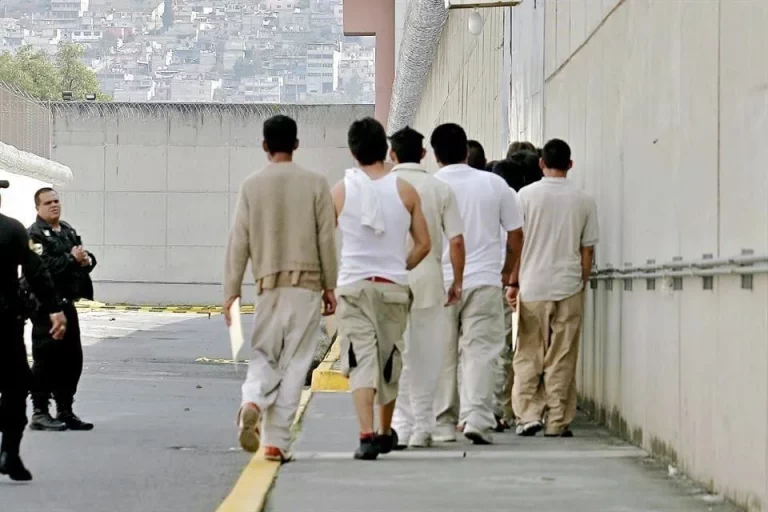 ImageTransformer (1)