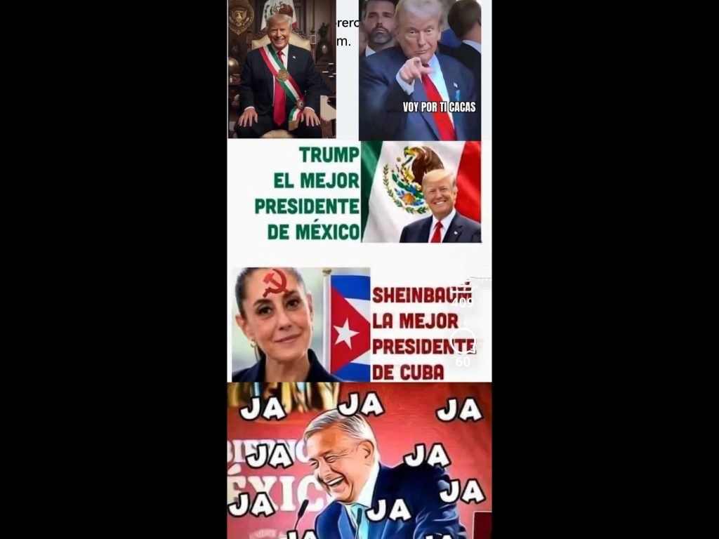 Polish_20260220_092909282