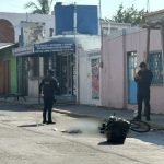 Polish_20260221_124648651