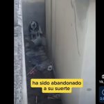 Screenshot_20260203_102436_Chrome