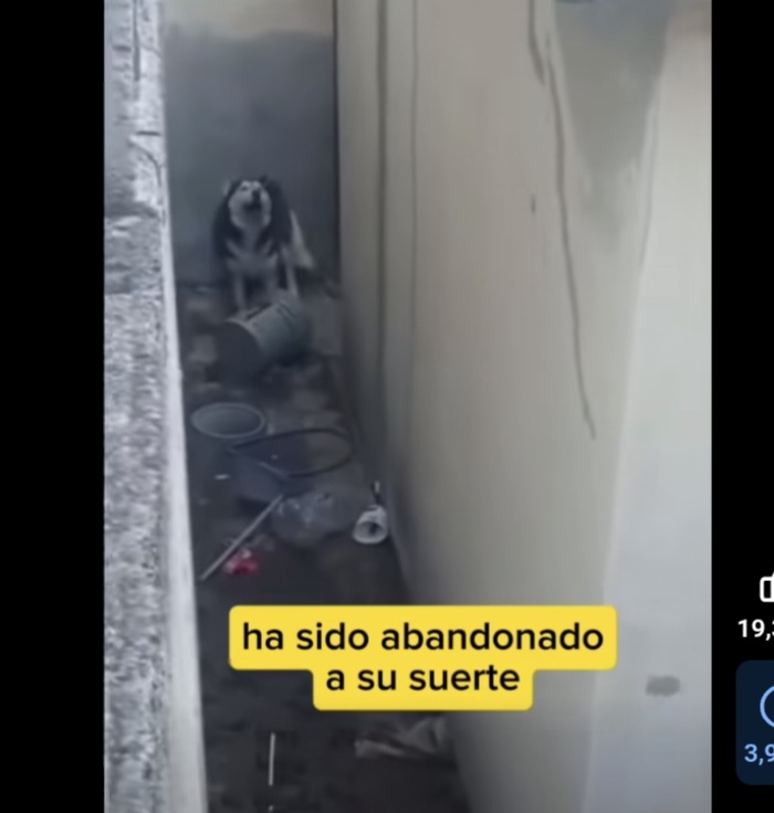 Screenshot_20260203_102436_Chrome