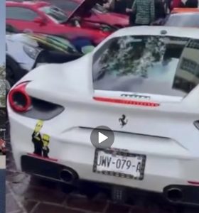 Screenshot_20260209_151838_WhatsApp