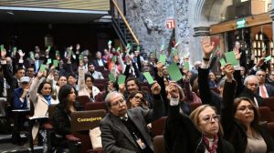 Screenshot_20260212_153712_Gallery