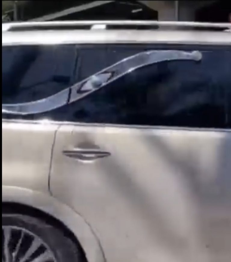 Screenshot_20260228_173137_WhatsApp