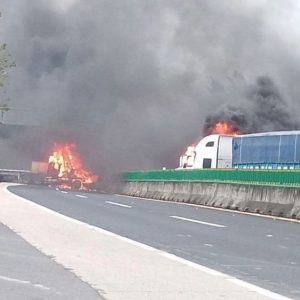 f638x638-1249793_1307960_5050