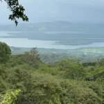 la-biosfera-esta-siendo-afectada