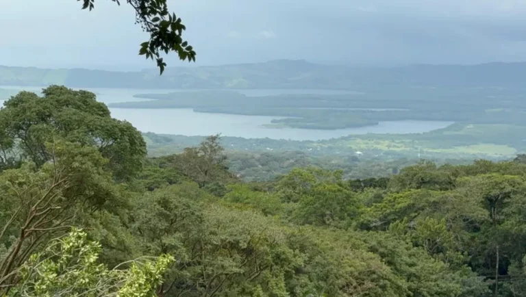 la-biosfera-esta-siendo-afectada