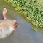 1409127xeu20260302113436