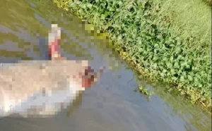 1409127xeu20260302113436