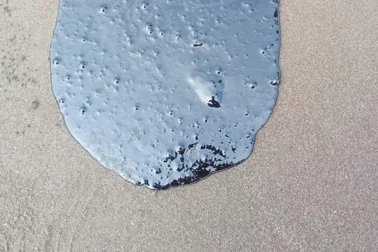 1409153xeu20260302140349