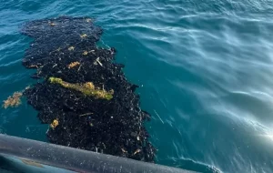 1410134xeu20260309214459