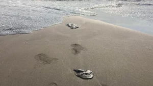 1410435xeu20260312092121