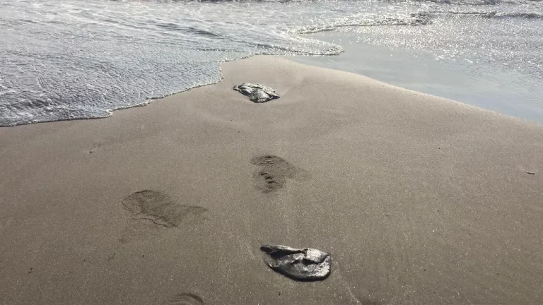 1410435xeu20260312092121