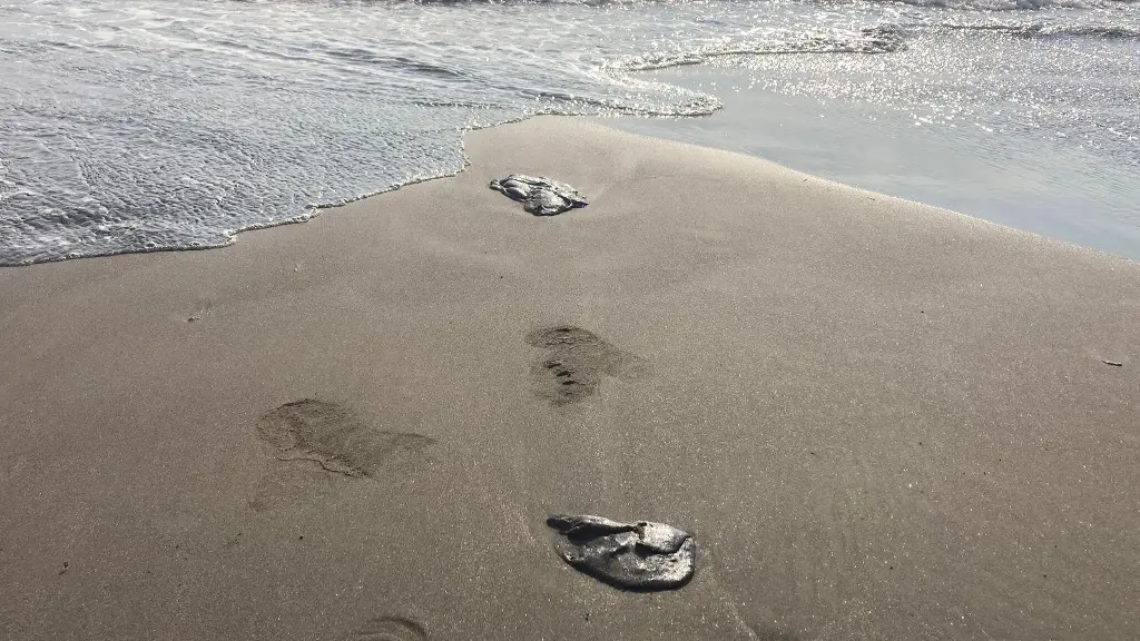 1410435xeu20260312092121