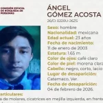 1411116xeu20260317143308