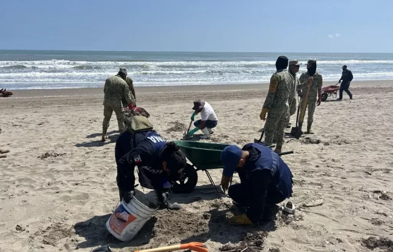 1411620xeu20260321123219