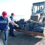 1411922xeu20260324083450