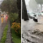 1412876xeu20260331165602