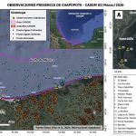 203f1743-2131-4c38-8bc0-43cb775a18db