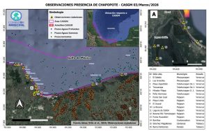 203f1743-2131-4c38-8bc0-43cb775a18db