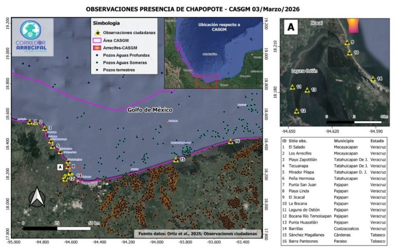 203f1743-2131-4c38-8bc0-43cb775a18db