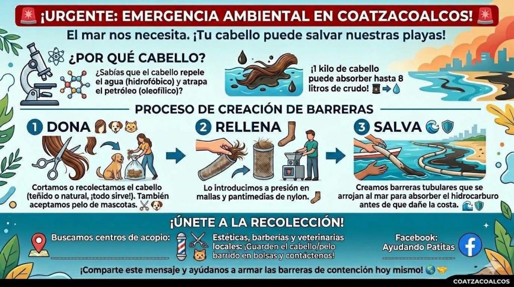 653867327_969190289016347_5879947469753615837_n