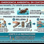 653867327_969190289016347_5879947469753615837_n