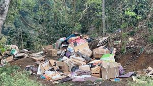 771c16b1-1d19-463c-8b9d-d185ce16ffc1