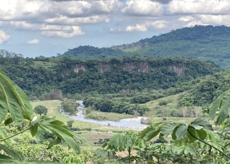 Captura-de-Pantalla-2026-03-12-a-las-14.13.50