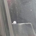 FB_IMG_1774997396462