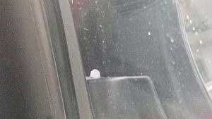 FB_IMG_1774997396462