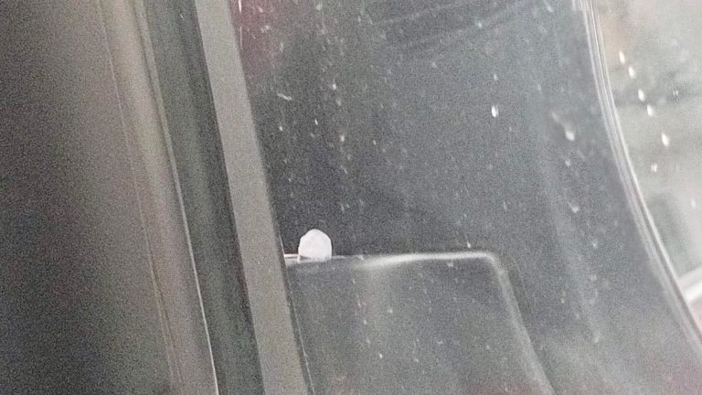 FB_IMG_1774997396462