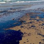 Mas-16-comunidades-pesqueras-Veracruz-Tabasco-afectadas-derrame-petrolero-2026