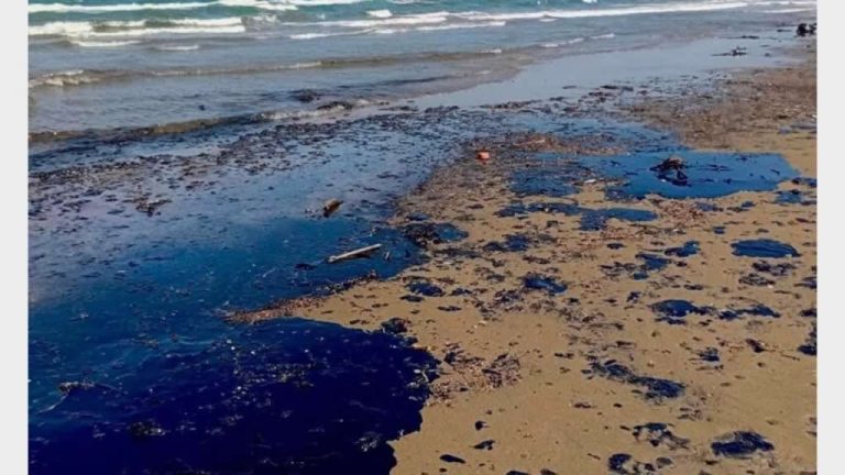 Mas-16-comunidades-pesqueras-Veracruz-Tabasco-afectadas-derrame-petrolero-2026