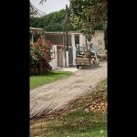 Polish_20260317_145658200