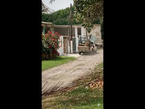 Polish_20260317_145658200